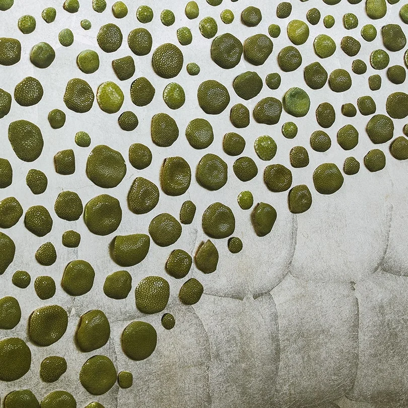 Surface