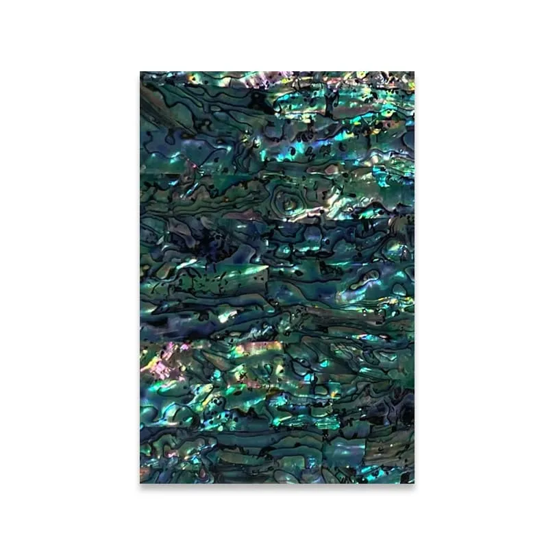 Resin SRL06 Frontale
